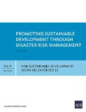 Promoting sustainable development through disaster risk management
